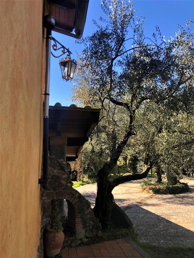 Casale L'Antica Mola Villa Castel Madama Exteriör bild