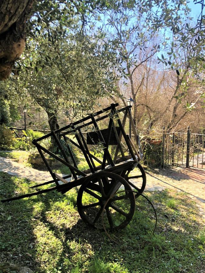 Casale L'Antica Mola Villa Castel Madama Exteriör bild