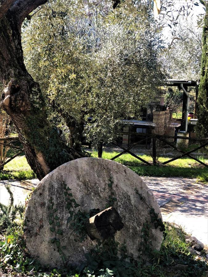 Casale L'Antica Mola Villa Castel Madama Exteriör bild